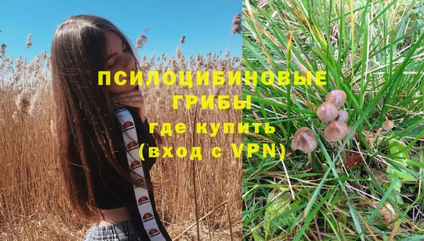 соль курить ск Дмитриев
