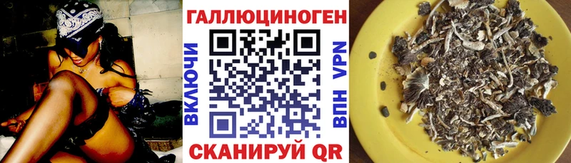 Псилоцибиновые грибы мухоморы  Купить закладки  Шелехов 